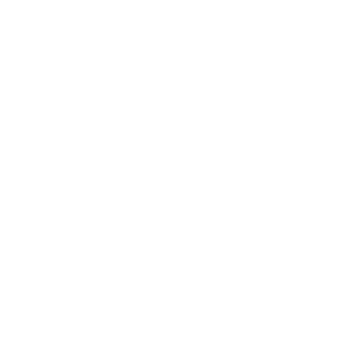Empower Women at Risk